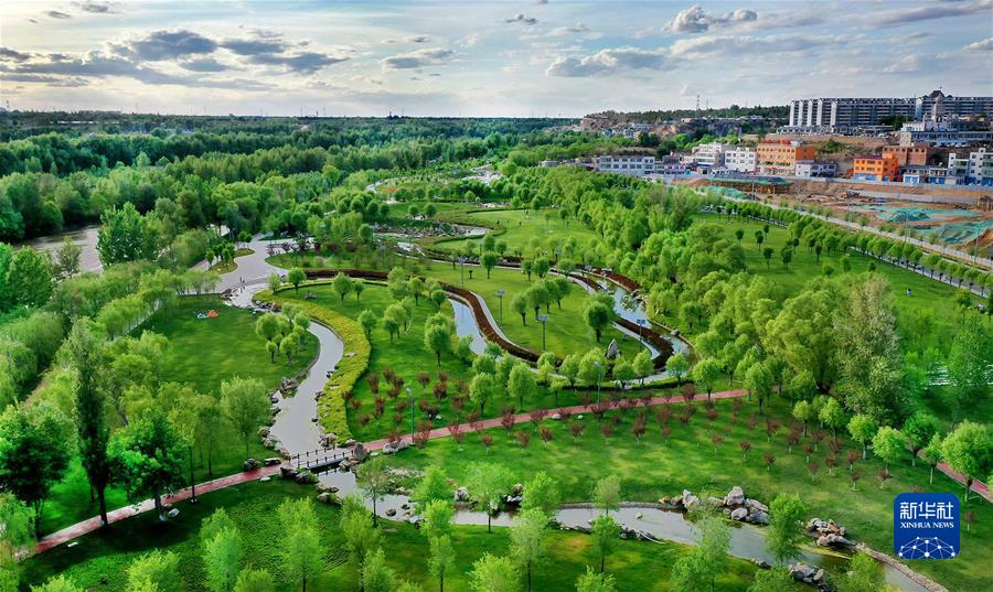 （新華全媒頭條·聚焦生物多樣性大會(huì)·圖文互動(dòng)）（4）攜手同行，開(kāi)啟人類高質(zhì)量發(fā)展新征程——習(xí)近平主席在《生物多樣性公約》第十五次締約方大會(huì)領(lǐng)導(dǎo)人峰會(huì)上的主旨講話解讀